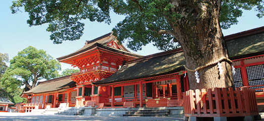 宇佐神宮画像
