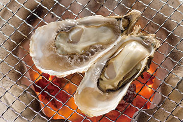 豊前海一粒かき画像