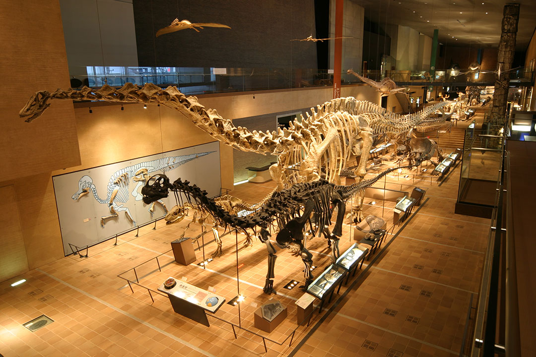 Kitakyushu Museum of Natural History & Human History01