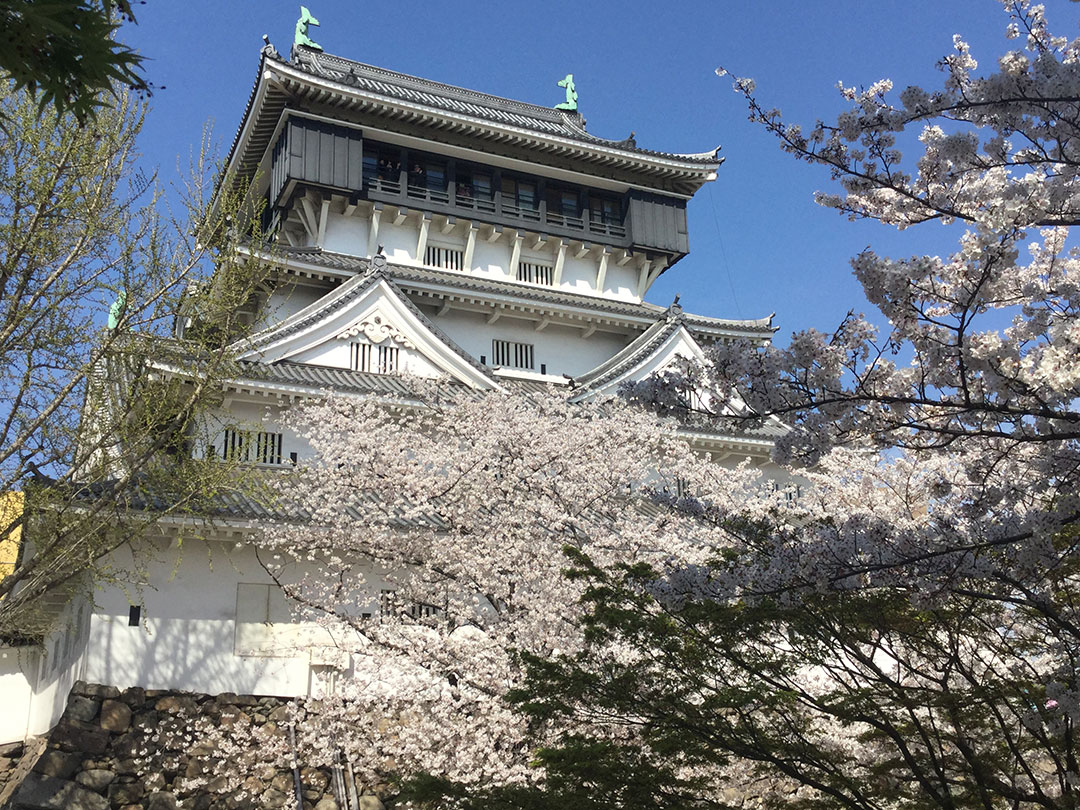 Kokura-Jo Castle06