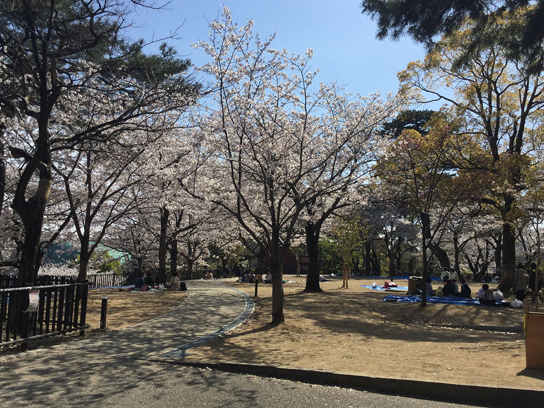 Kokura-Jo Castle06