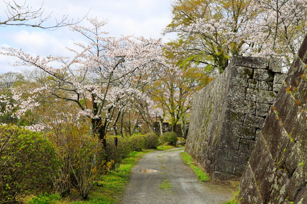 Takeda Castle Ruins04