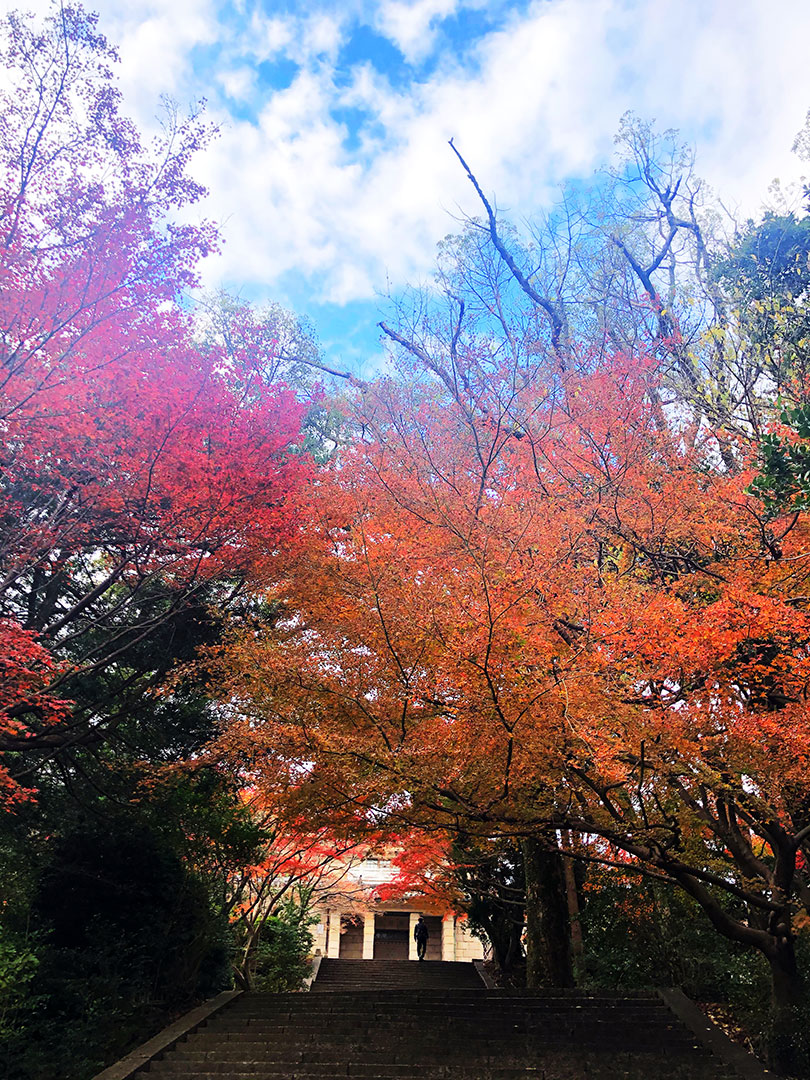 紅葉 功山寺 北九州空港