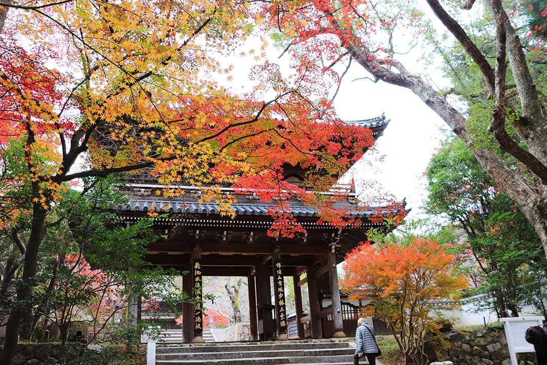 紅葉 功山寺 北九州空港