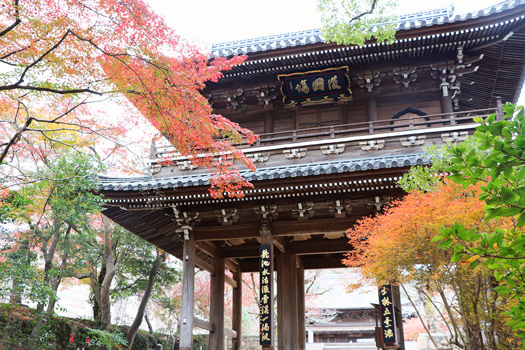 紅葉 功山寺 北九州空港