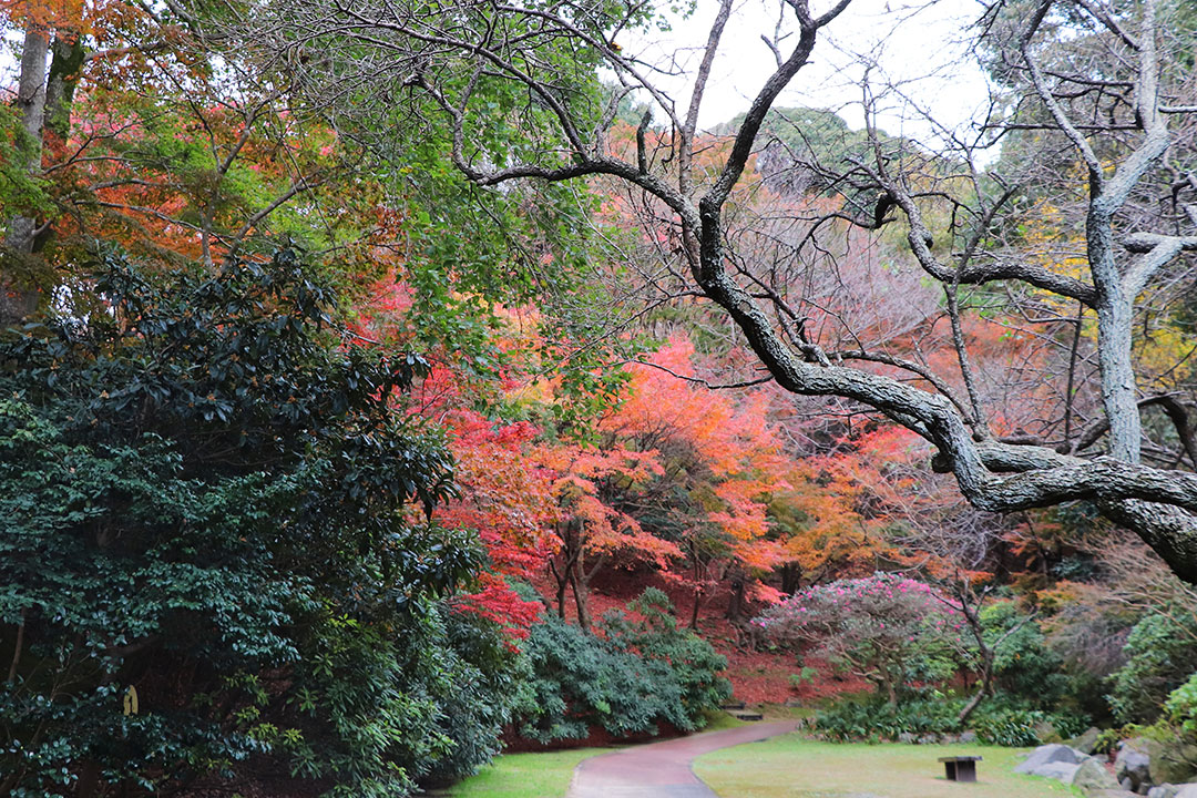 Shiranoe Botanical Garden01