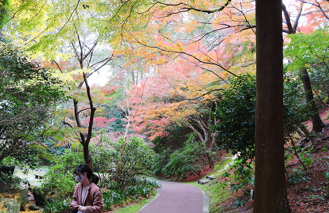 Shiranoe Botanical Garden06