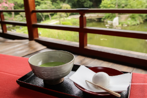 Img kokuracastle 2